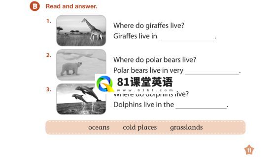 American textbook 图片11