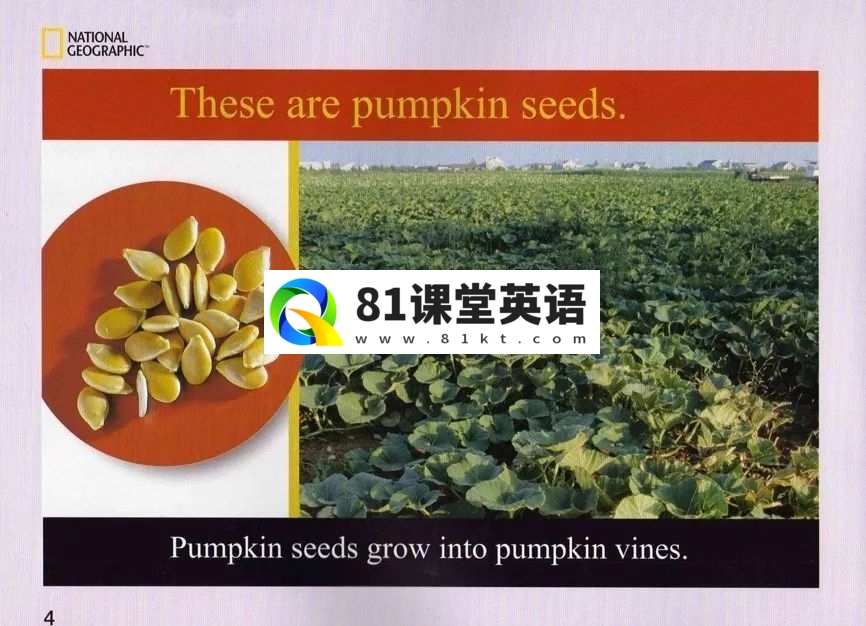 美国国家地理儿童百科 图片13