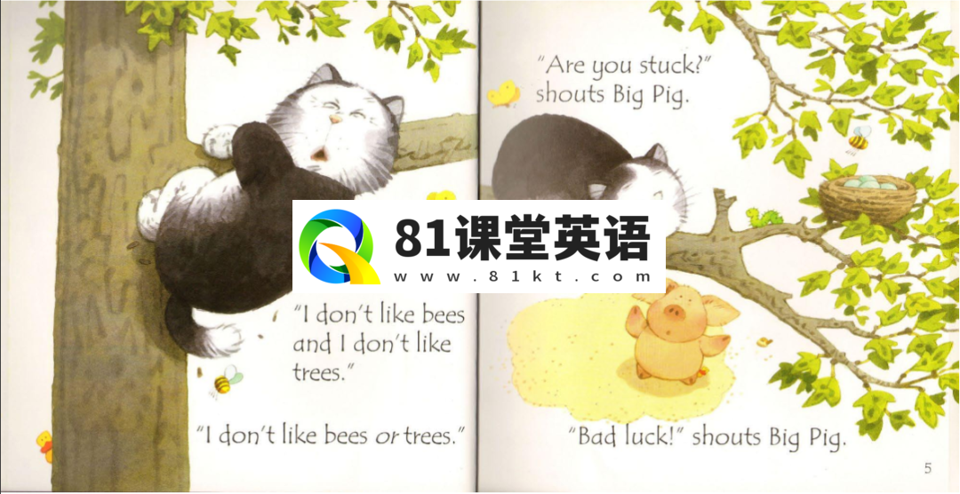 Usborne 斯伯恩自然拼读 图片15