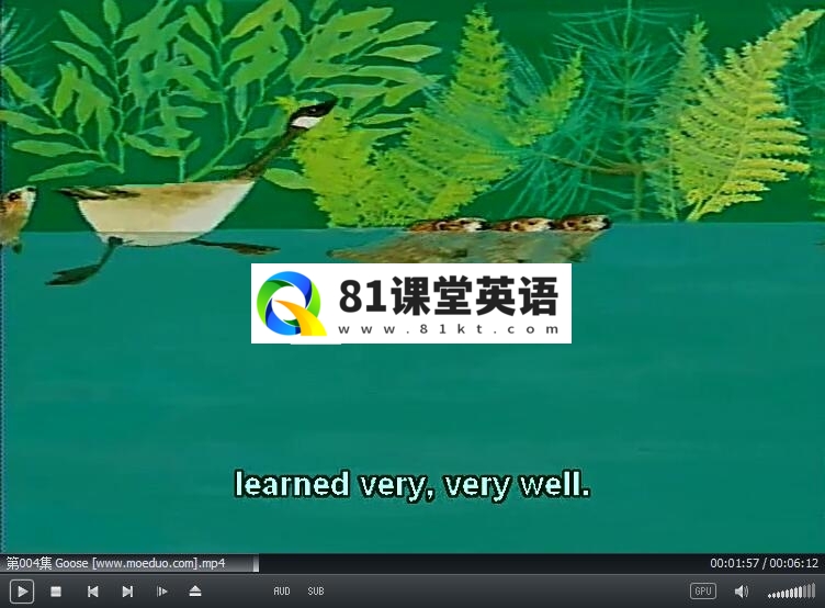 图片11