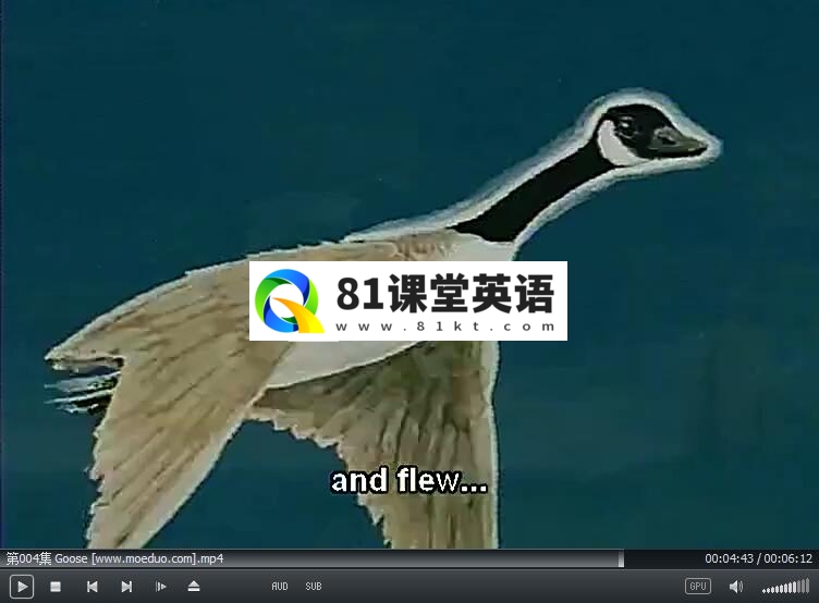 图片13