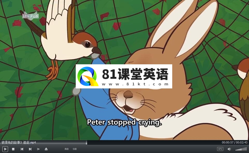 LittleFox 彼得兔的故事 图片7