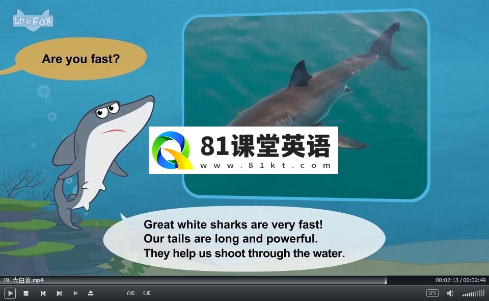 LittleFox 认识动物 图片5