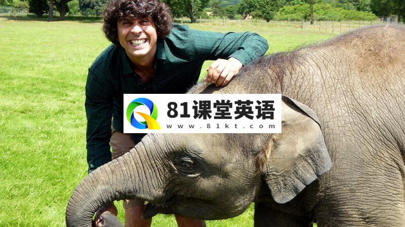 BBC科普英语真人动画《Andy\'s Baby Animals》安迪和小动物,适合0-10岁,全20集,1080P高清视频带英文字幕,百度网盘下载!-81课堂英语