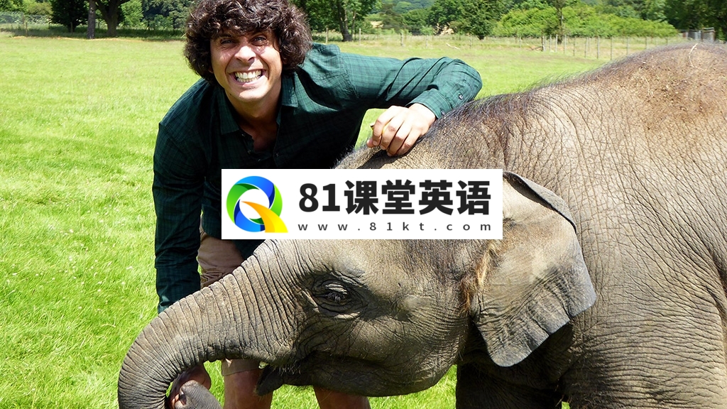 BBC科普英语真人动画《Andy\’s Baby Animals》安迪和小动物，适合0-10岁，全20集，1080P高清视频带英文字幕，百度网盘下载！-81课堂英语