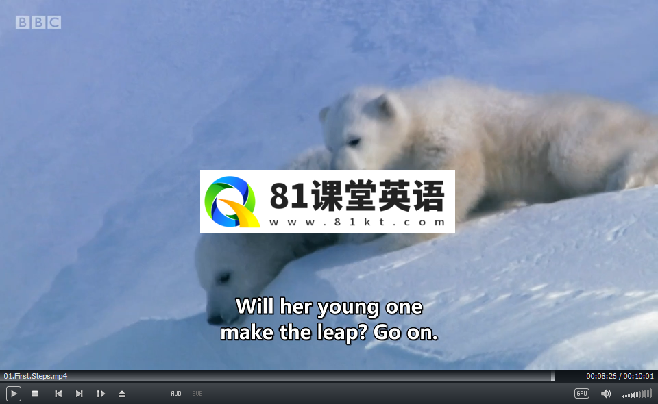 Andy's Baby Animals 安迪和小动物 图片5