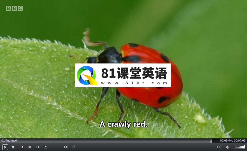 BBC Colours 图片7