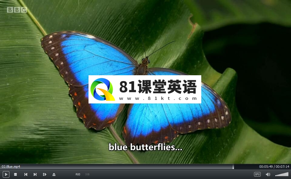 BBC Colours 图片11