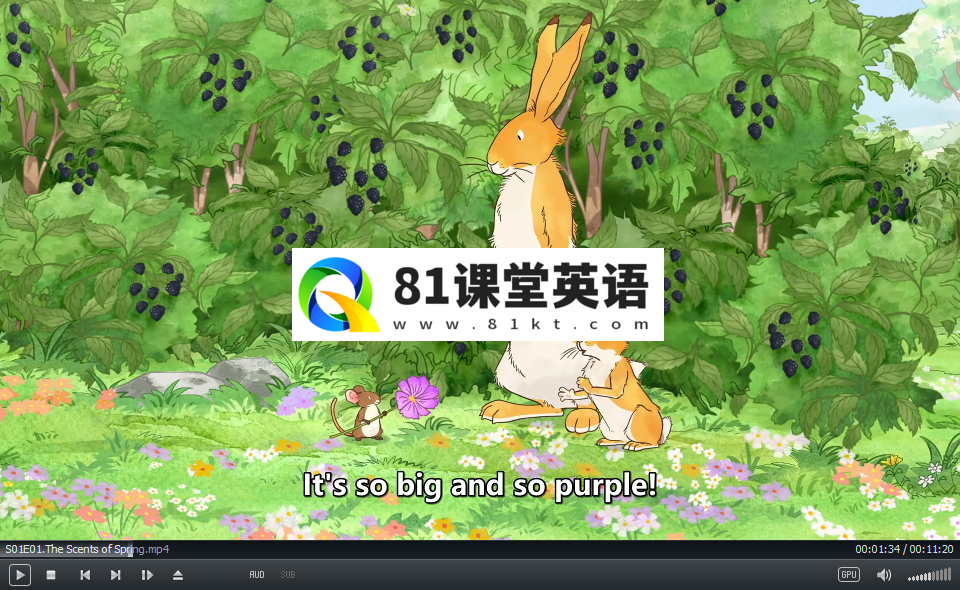 Guess How Much I Love You 猜猜我有多爱你 图片7