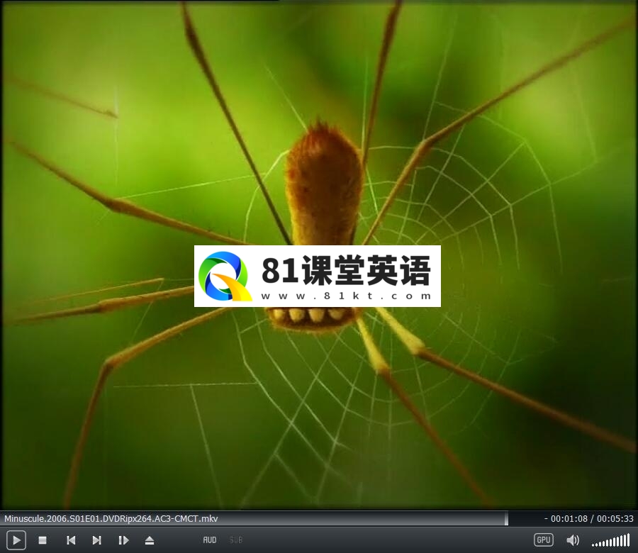 Minuscule 微观小世界 昆虫总动员 图片33
