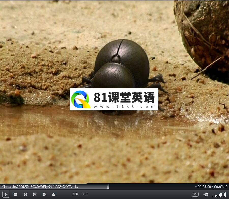 Minuscule 微观小世界 昆虫总动员 图片35