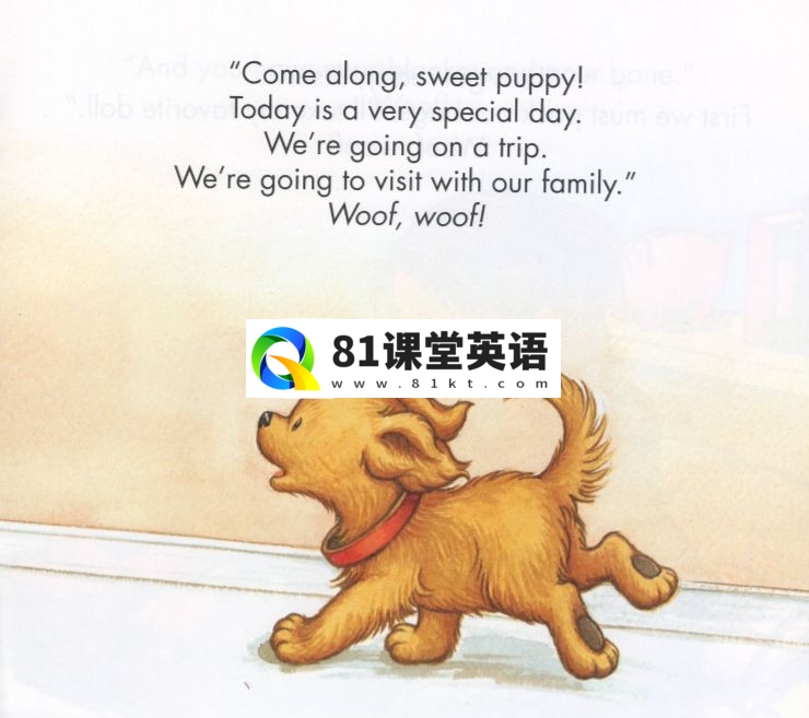 Biscuit 饼干狗 图片11