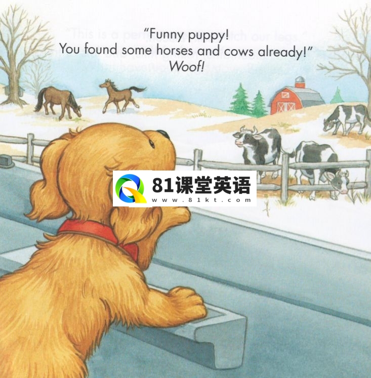 Biscuit 饼干狗 图片13