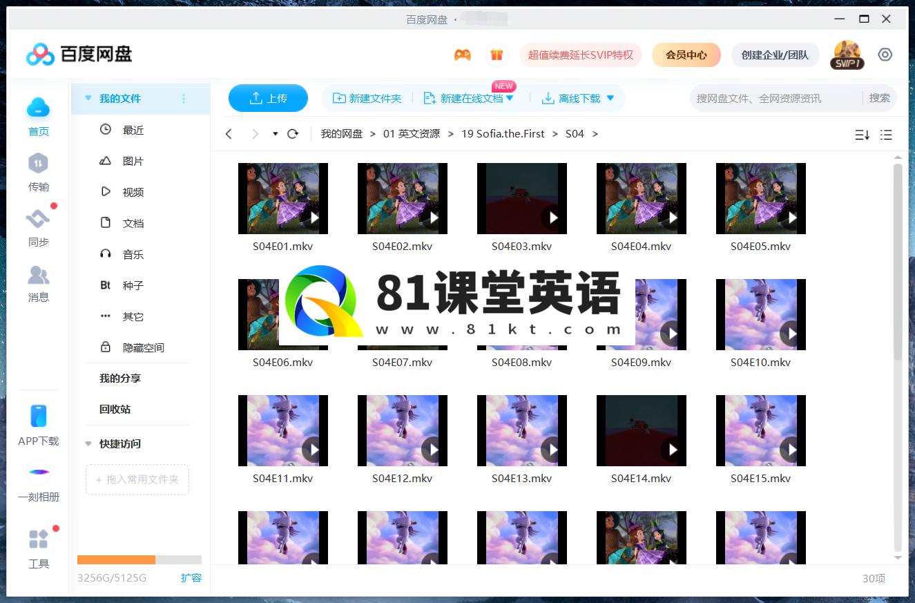 Sofia the First 小公主苏菲亚 图片15