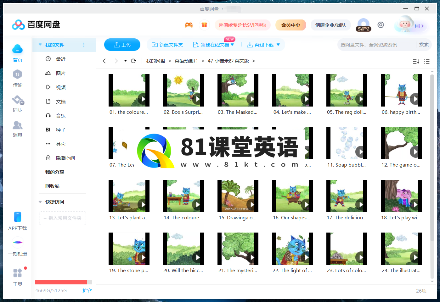 Miro The Cat 小猫米罗 图片19