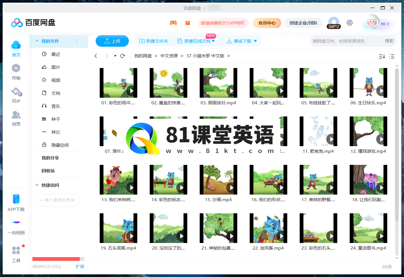 Miro The Cat 小猫米罗 图片19