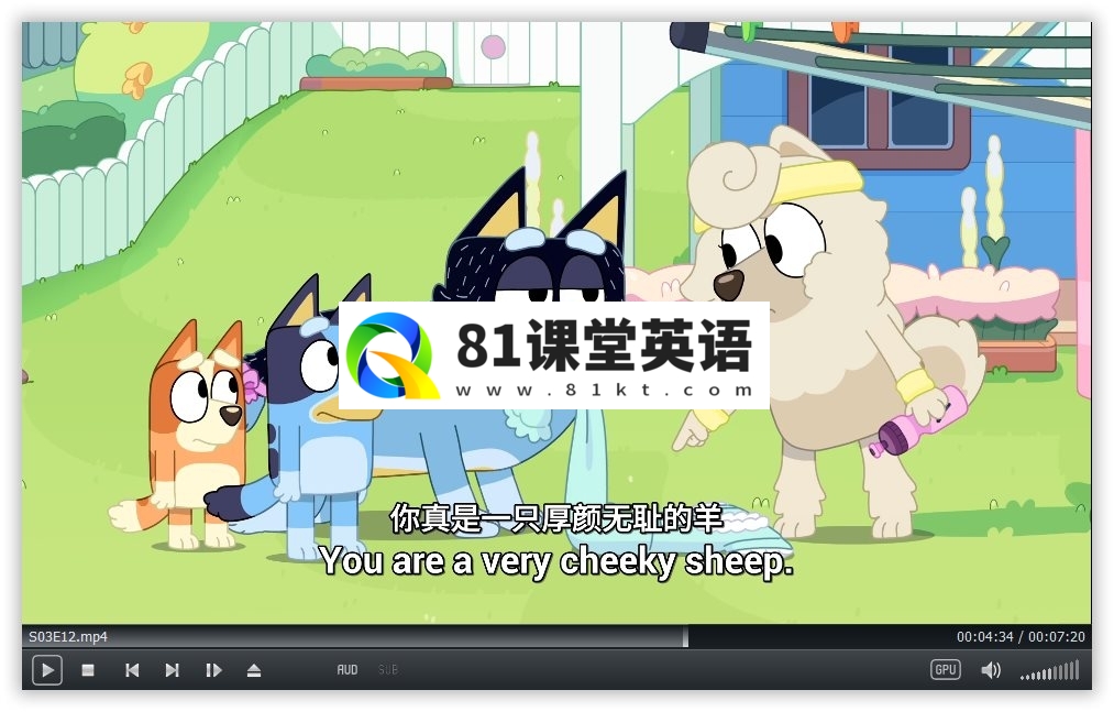 Bluey 布鲁伊一家 图片15