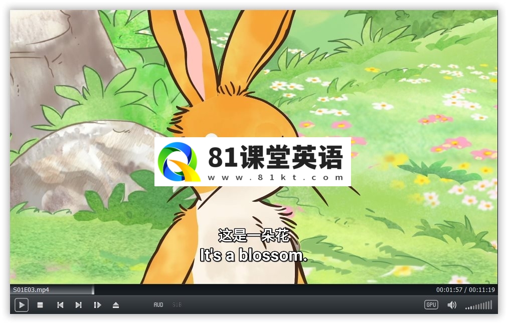 Guess How Much I Love You 猜猜我有多爱你 图片13