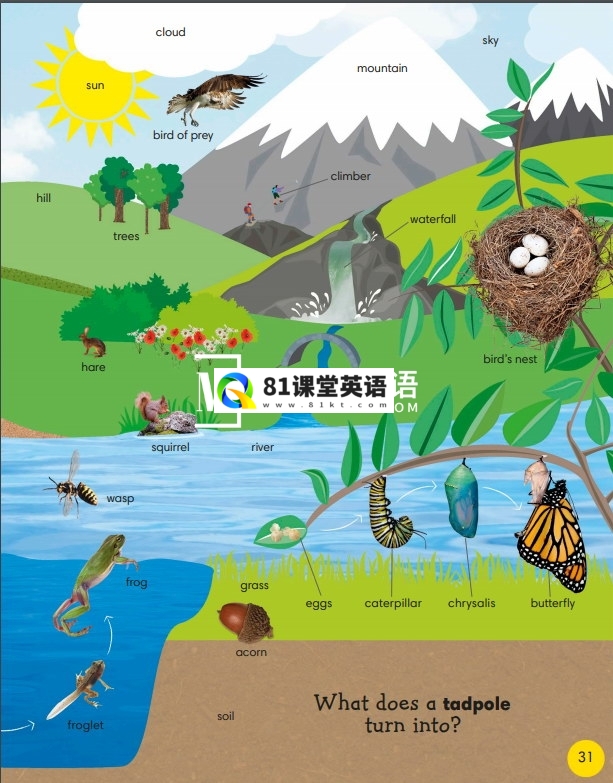 DK 1000 useful words 图片33