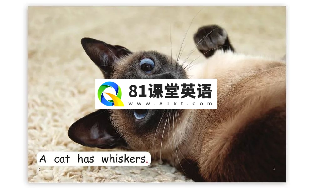 红火箭分级绘本 红火箭分级阅读绘本 图片31