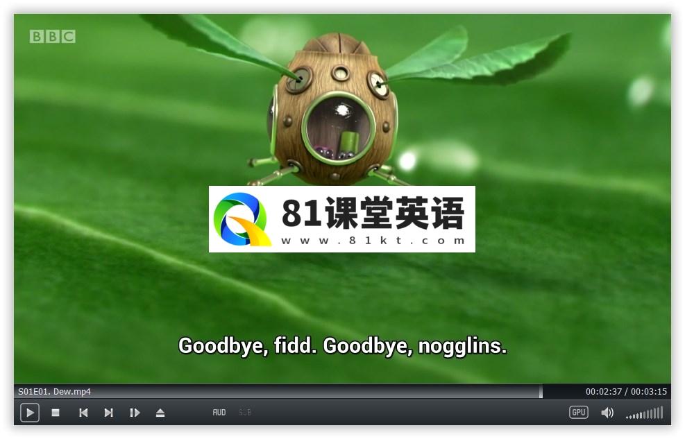 Tiny Wonders 图片7