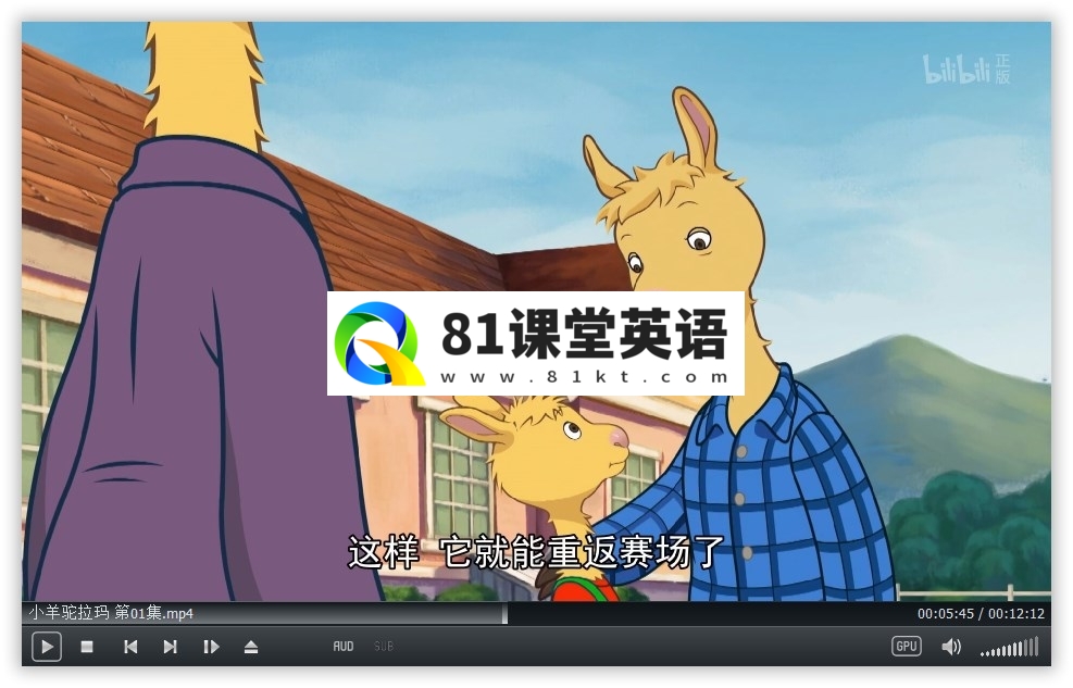 Llama Llama 小羊驼拉玛 图片9