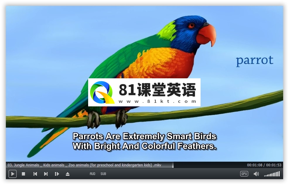 Socratica Kids 图片7
