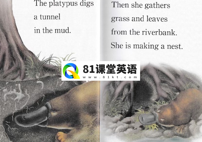 Step Into Reading 兰登分级读物 图片25