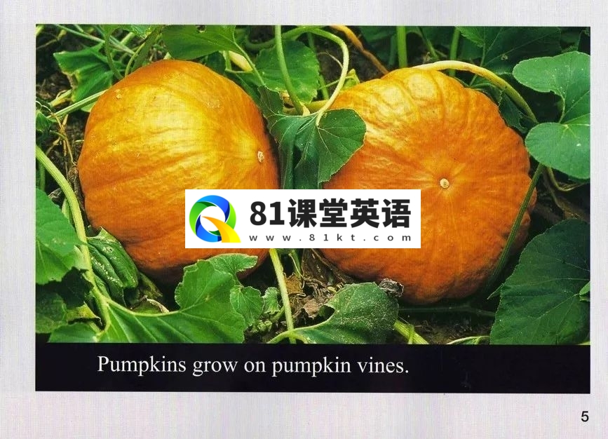美国国家地理儿童百科 图片15