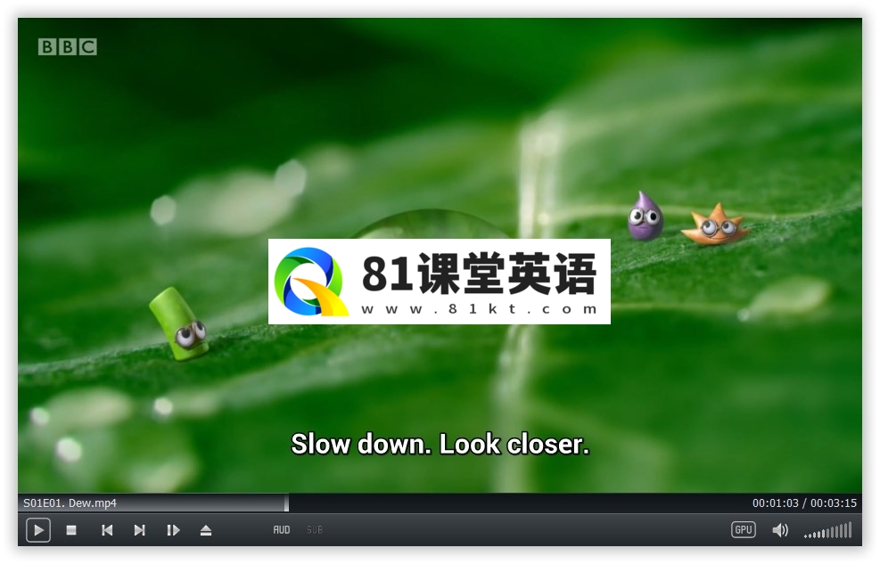 Tiny Wonders 图片5