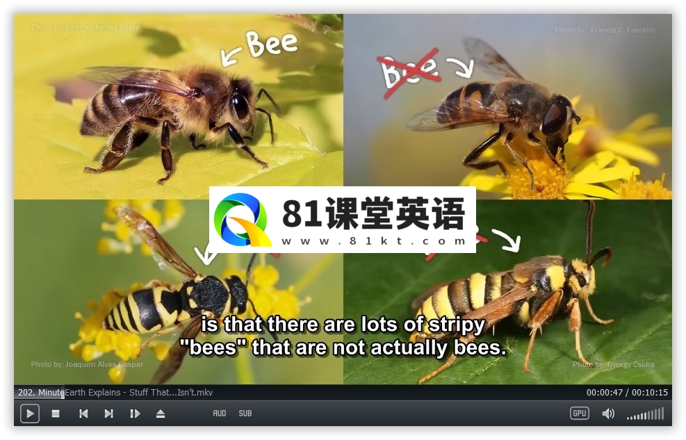 MinuteEarth 分钟地球 图片15