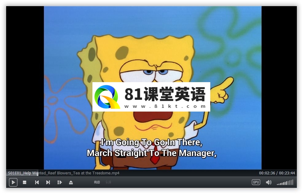 SpongeBob SquarePants 海绵宝宝 图片5