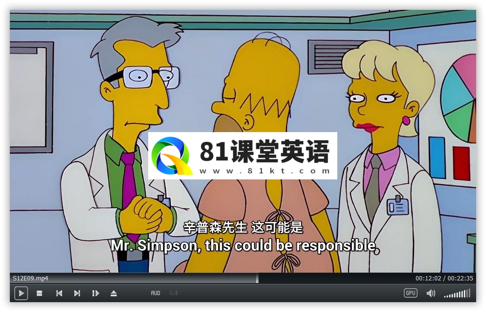 The Simpsons 辛普森一家 图片13
