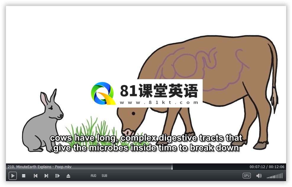 MinuteEarth 分钟地球 图片21
