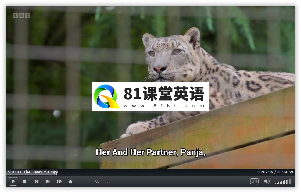 One Zoo Three 三兄弟动物园 图片9
