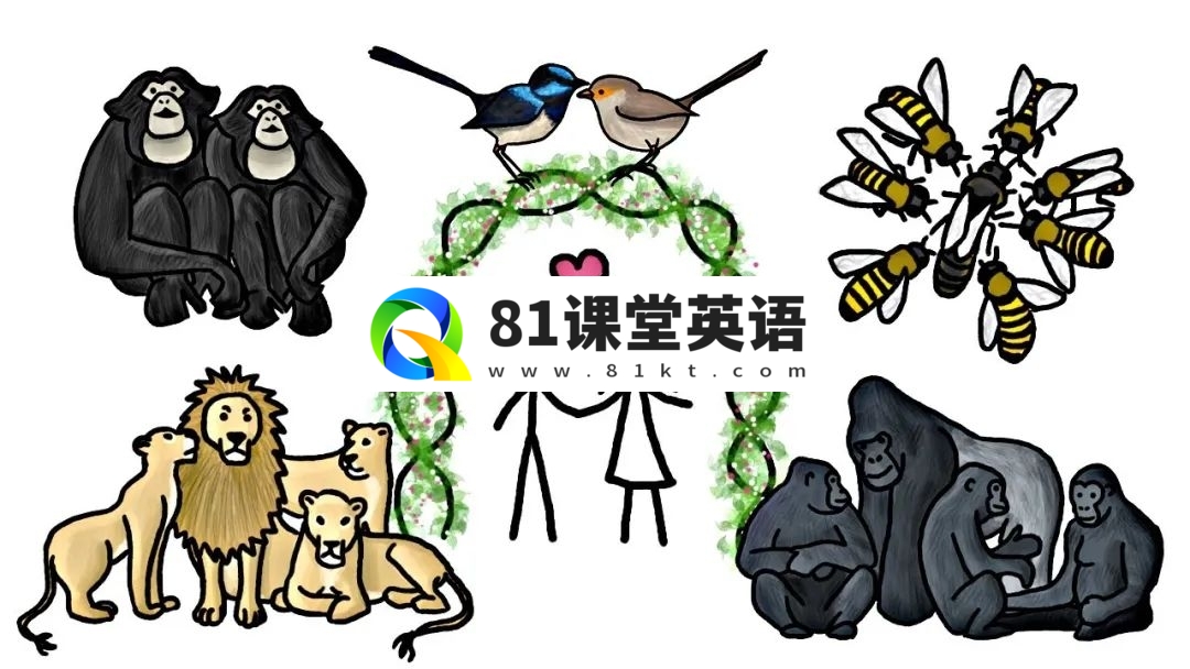 MinuteEarth 分钟地球 图片11