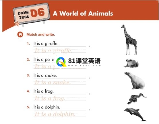 American textbook 图片9