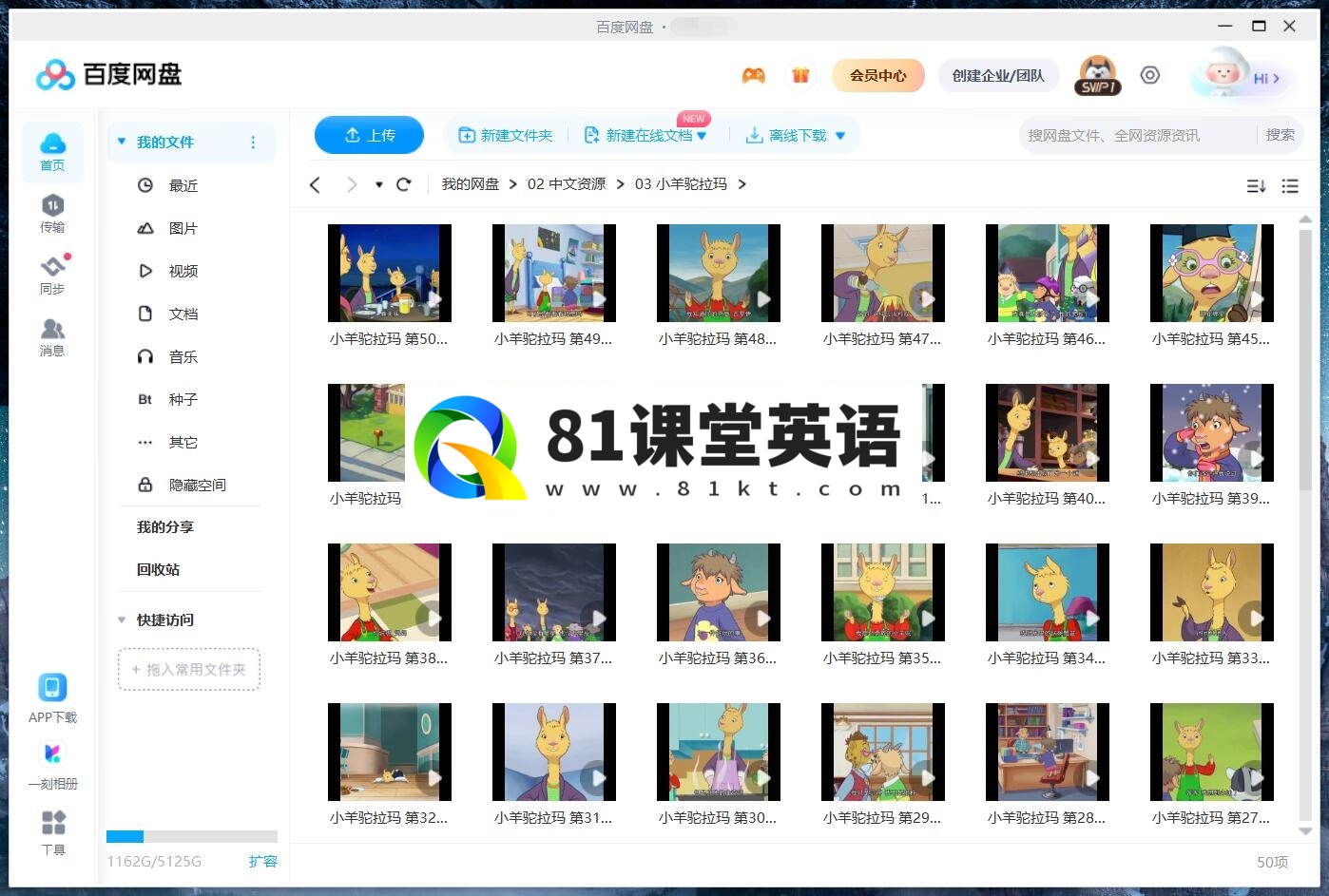 Llama Llama 小羊驼拉玛 图片15