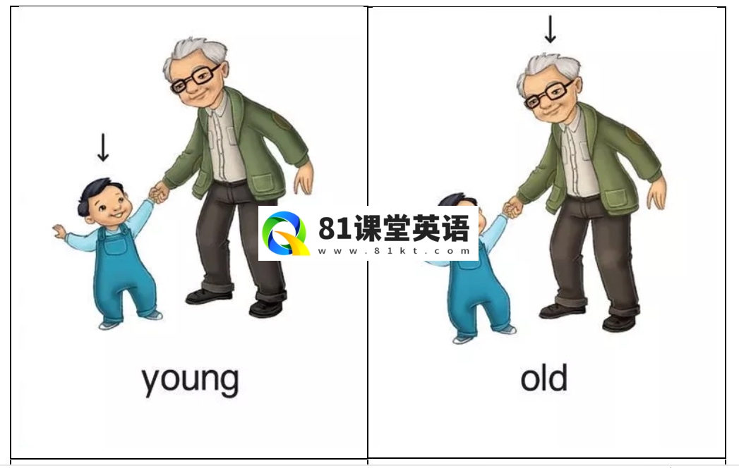牛津单词闪卡 图片17