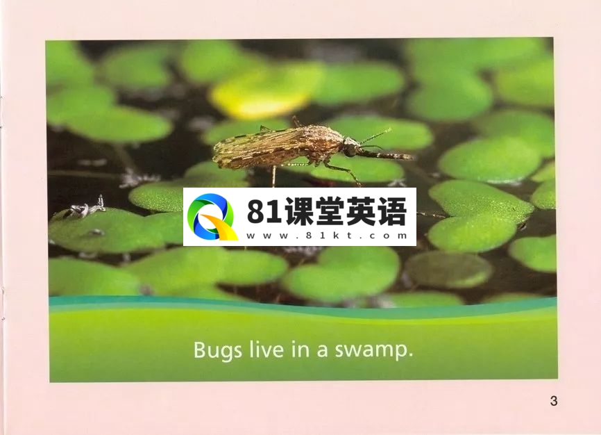 美国国家地理儿童百科 图片7