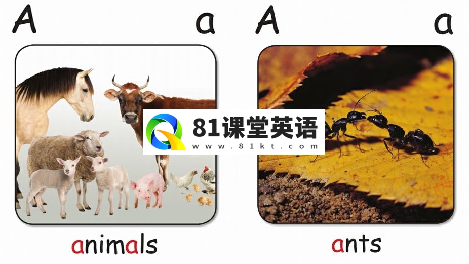 红火箭分级绘本 红火箭分级阅读绘本 图片5