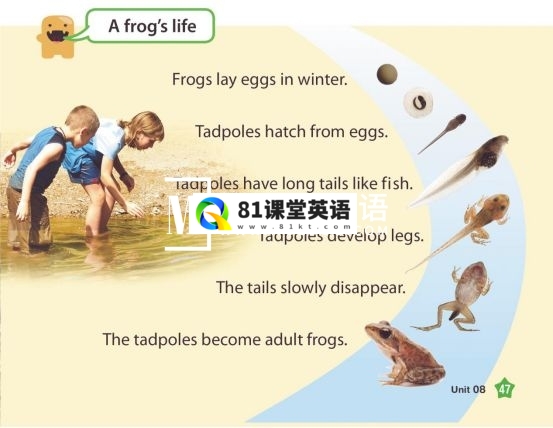 American textbook 图片15