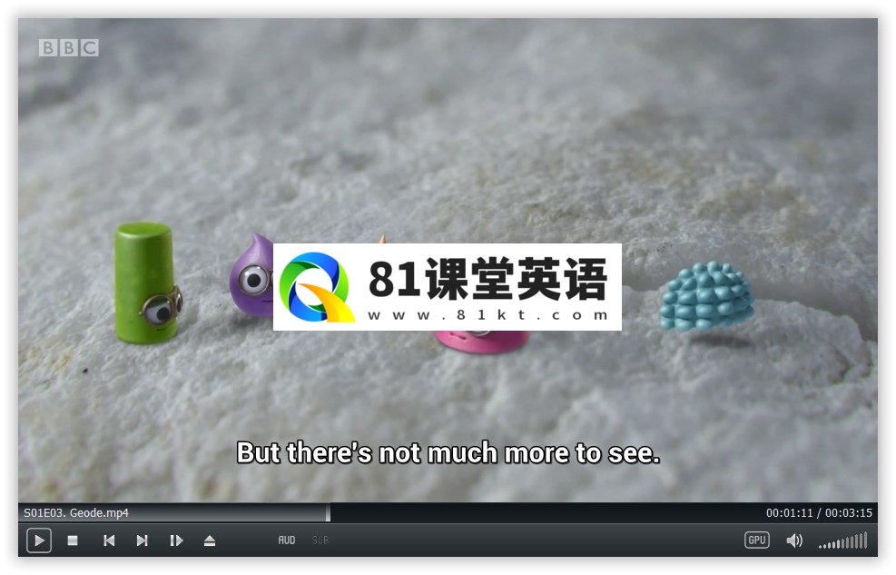 Tiny Wonders 图片11