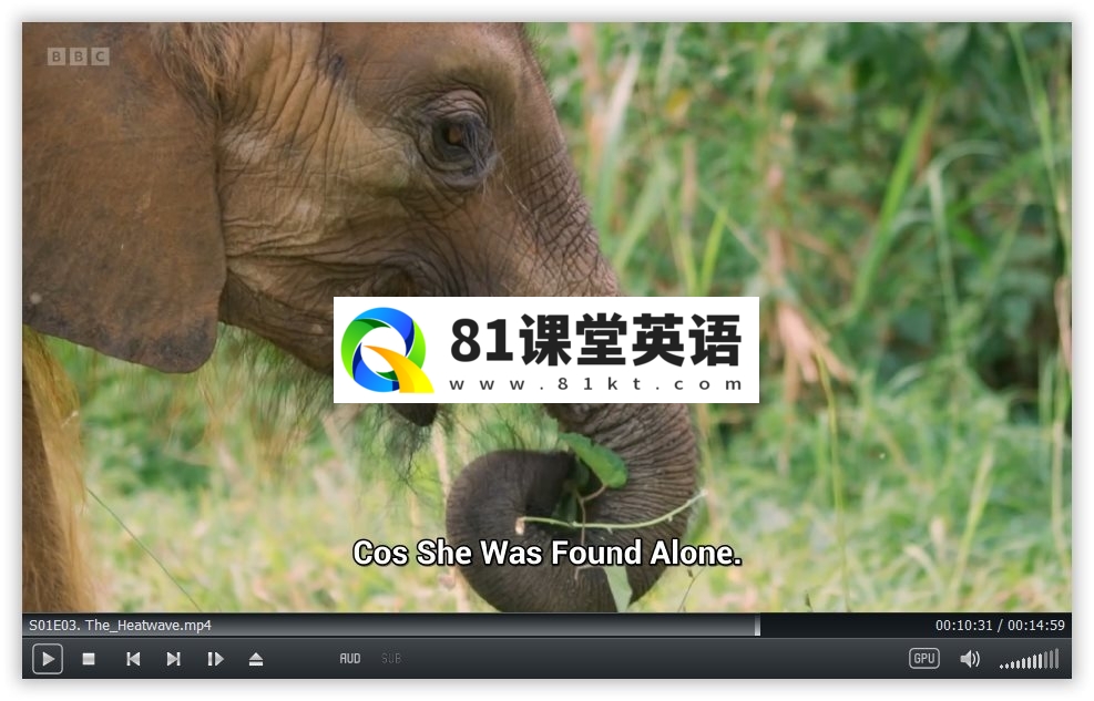 One Zoo Three 三兄弟动物园 图片11